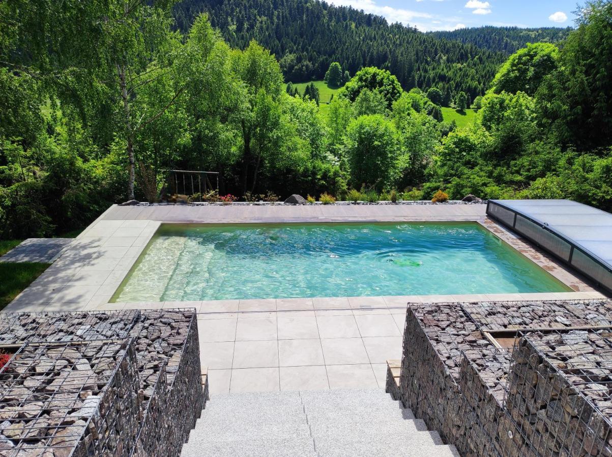 Le Cerf, Chalet Cocooning Avec Piscine Et Billard Ban-sur-Meurthe-Clefcy Esterno foto